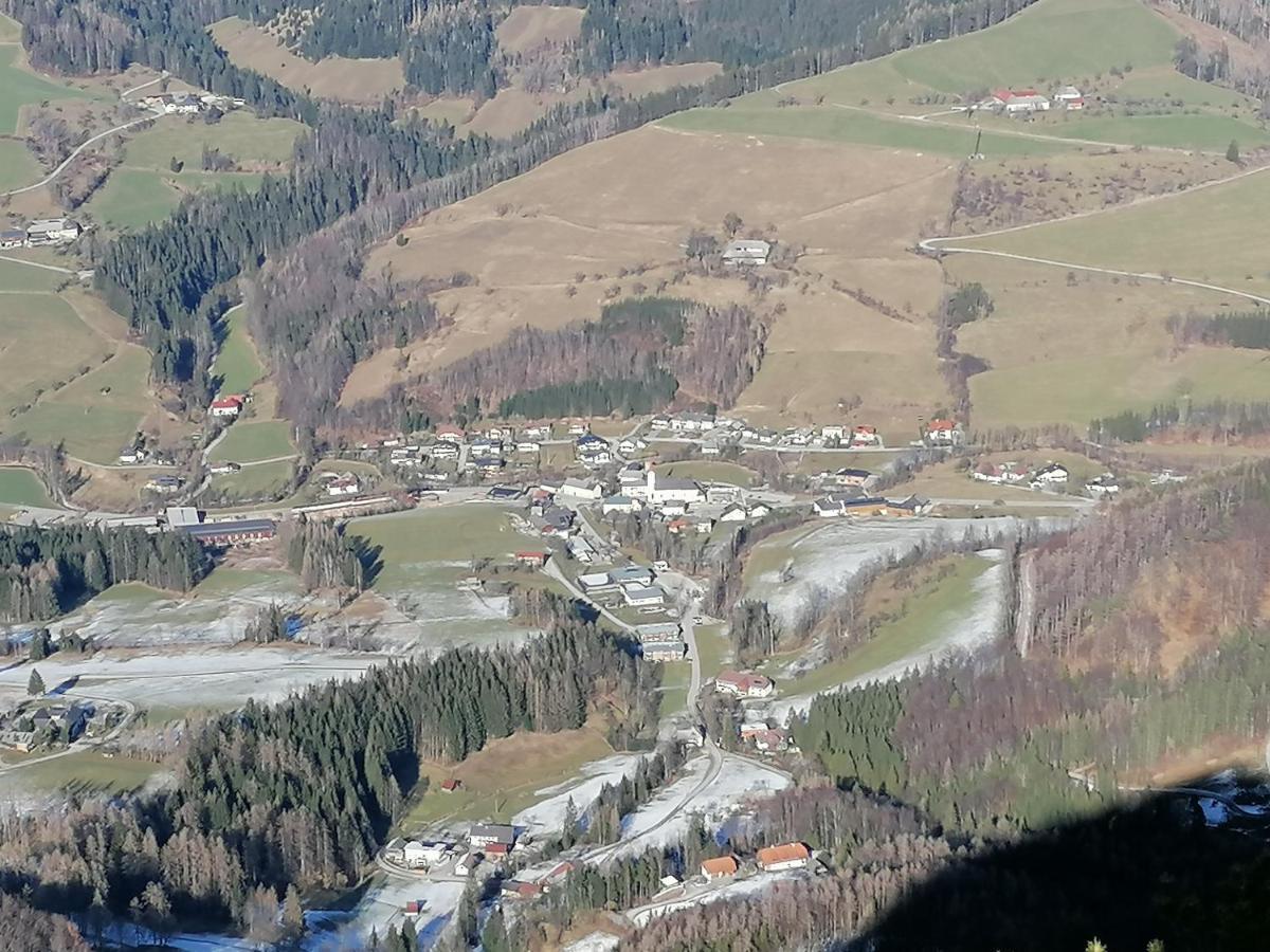 Hoamatleuchten *